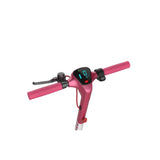 Gotrax Electric Scooter Consoles Electric Scooter Consoles GOTRAX APEX LE (Pink)