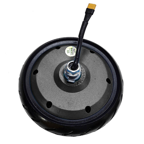 Gotrax Electric Scooter Motor Assembly Electric Scooter Motors GOTRAX G2 / GLIDER / G2 Plus