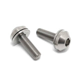 TLC Metric - Titanium Hub Bolts Bike Hubs TLC Natural 