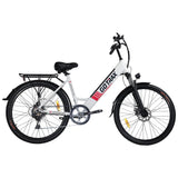 Endura Electric Bike Electric bike GOTRAX 