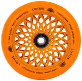 Root Neon Orange Lotus Wheels  24mm